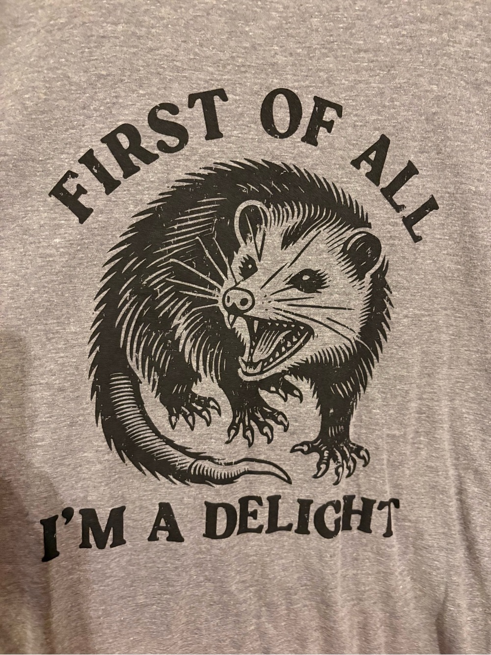 Gray Graphic Tee possum- 'First of All I'm a Delight'